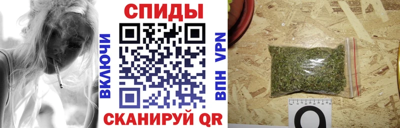 купить  цена  Городище  Бутират буратино 