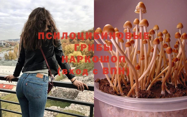 наркотики Баксан