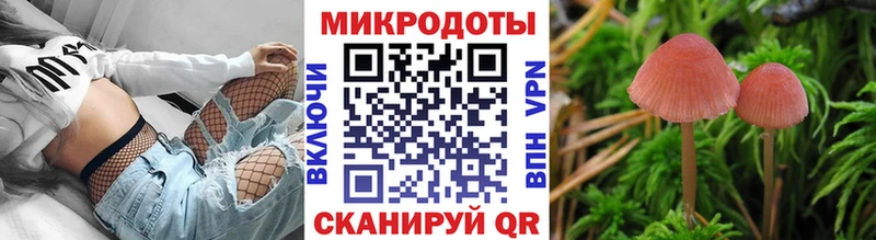 Псилоцибиновые грибы Cubensis  Городище 
