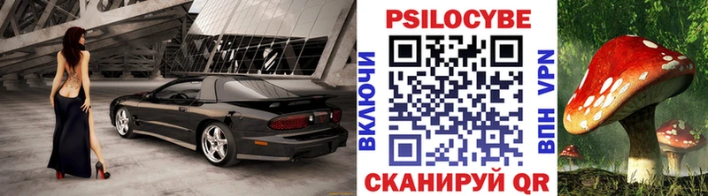 Галлюциногенные грибы Psilocybine cubensis Городище